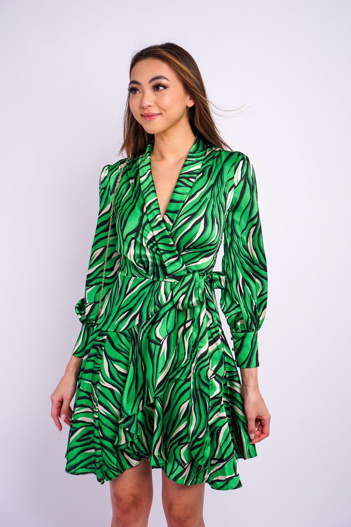 DCD DRESSES Green Woven Print Wrap Dress