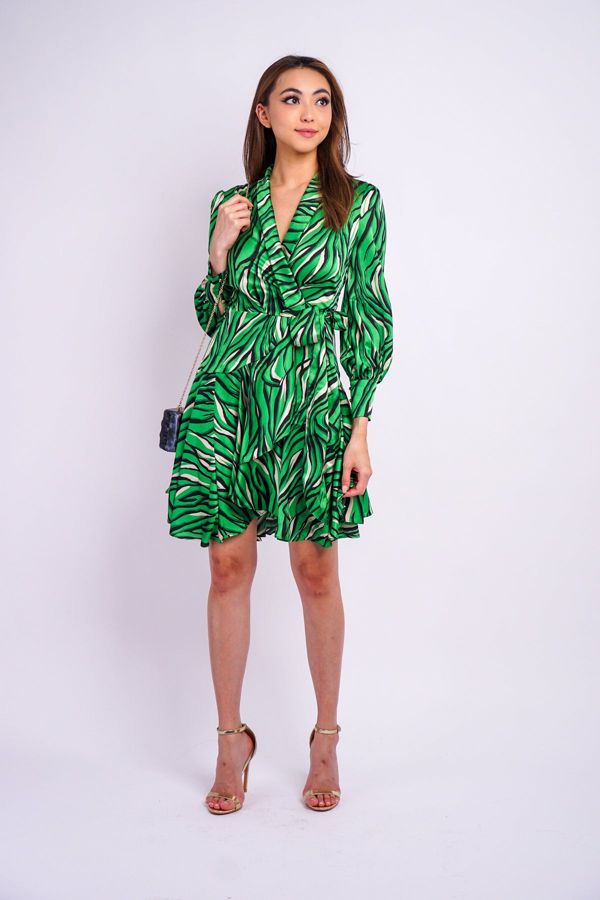 DCD DRESSES Green Woven Print Wrap Dress