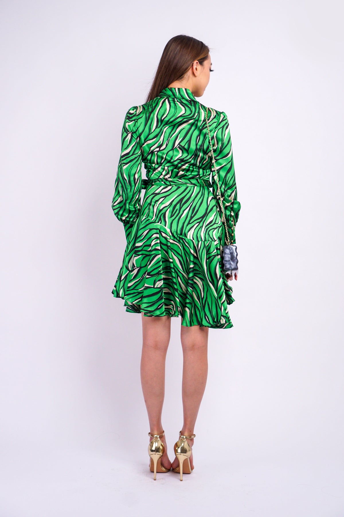 DCD DRESSES Green Woven Print Wrap Dress