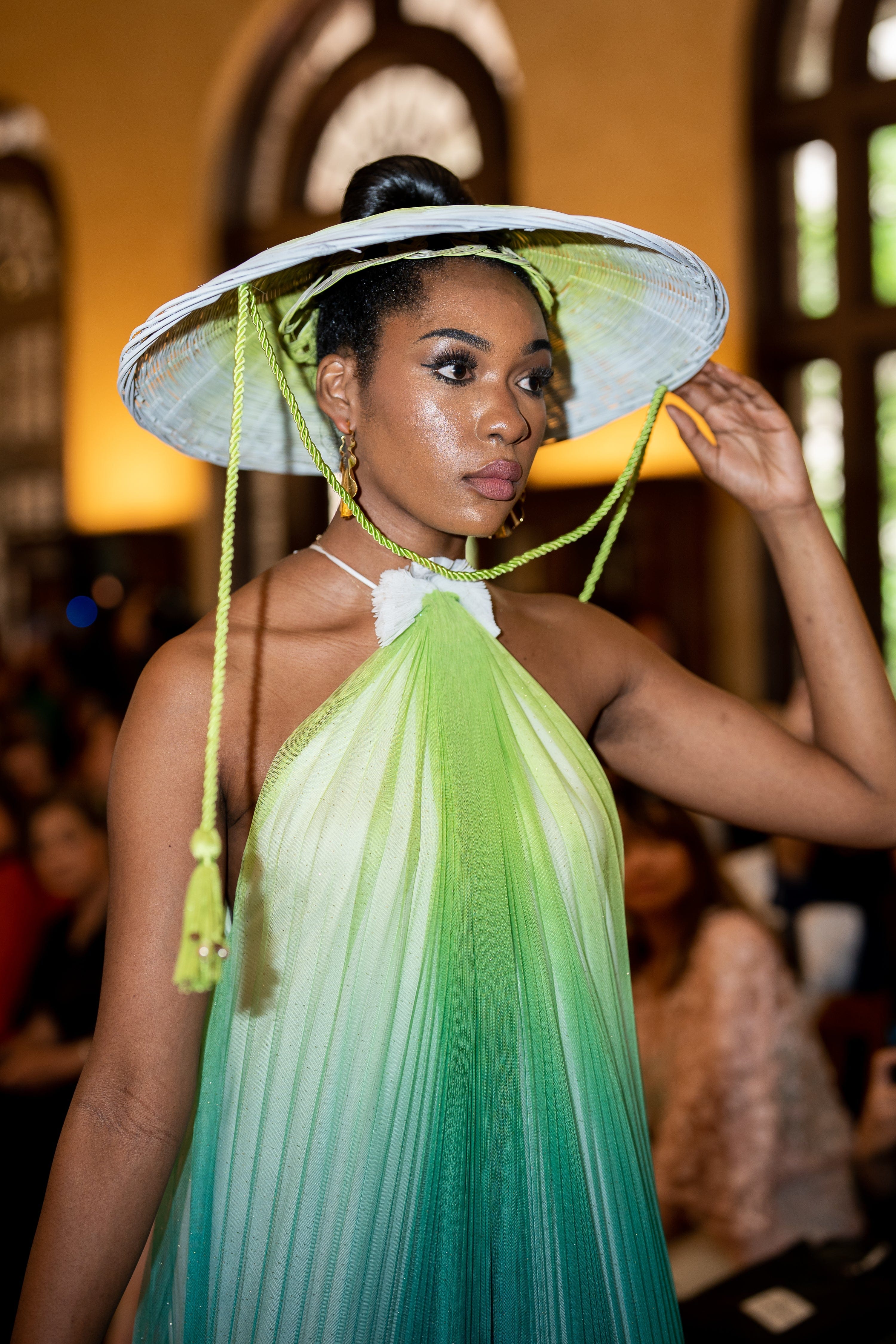 CD-Archive GOWNS Green Ombre Tulle Sheer Halter Maxi Dress