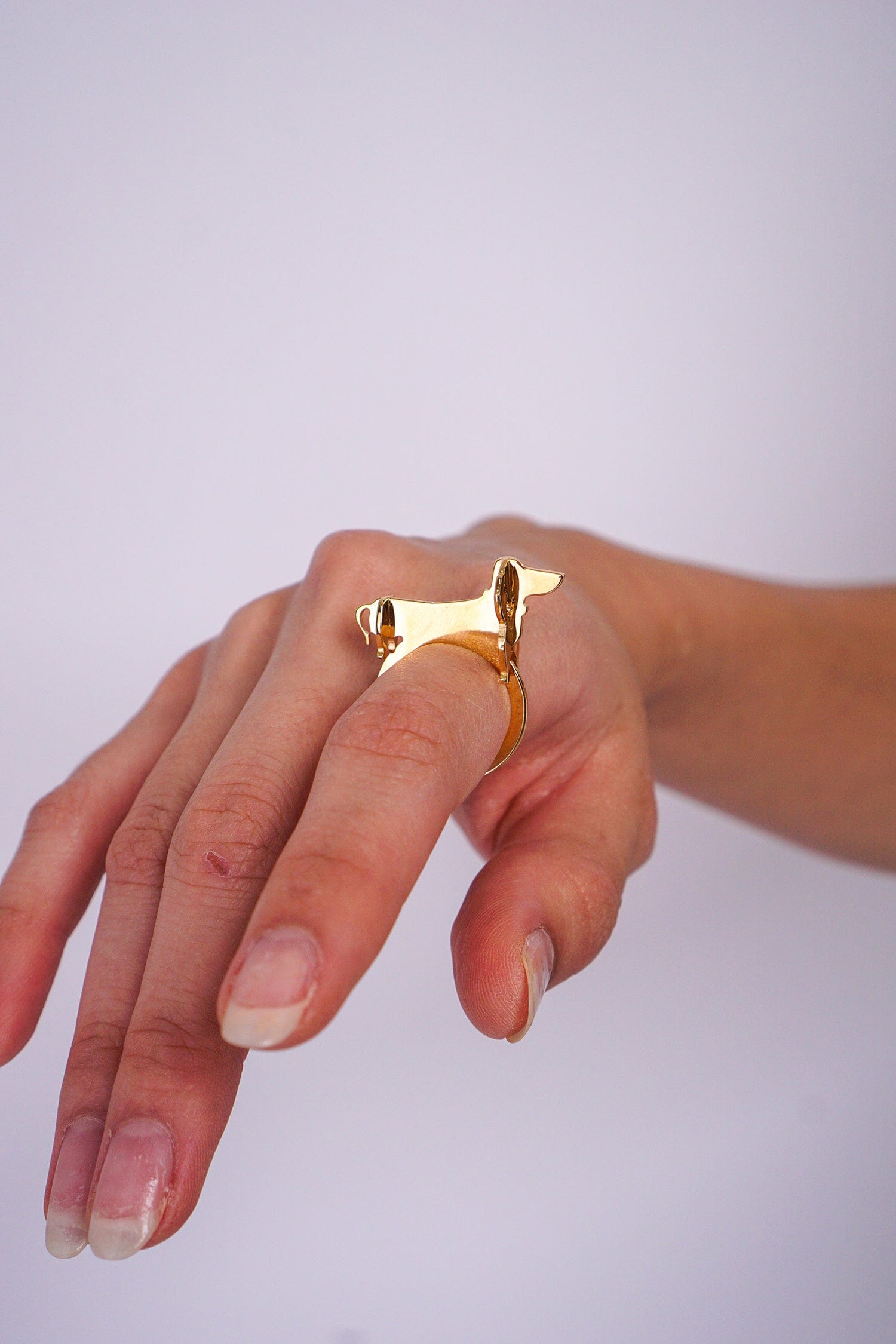 DCD RINGS Dog Ring In Bronze And Brass Gold Plated
